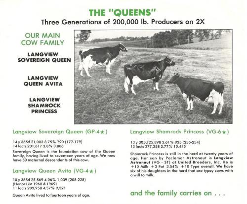 1-the-queens orig