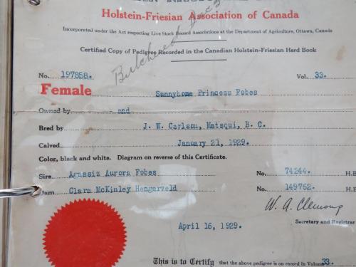 4-princess-fobes 2 orig