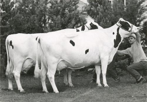 5-ethel-pride