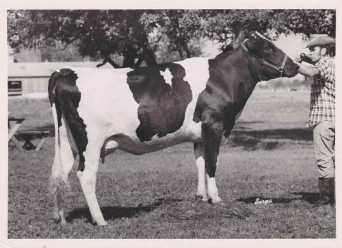 dick-with-cow-1970