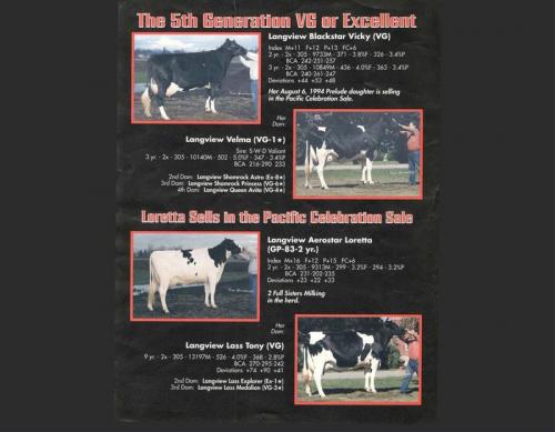 flyer-1-page-3