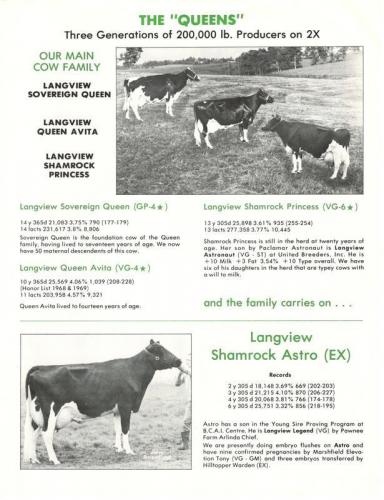 flyer-2-page-1