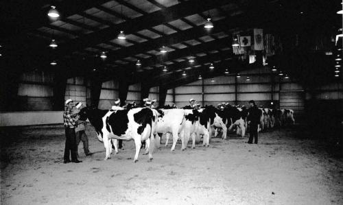 pic-6-copy